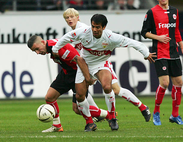 但很难融入 但很难融入